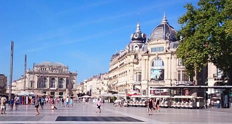 achat immobilier quartier comédie